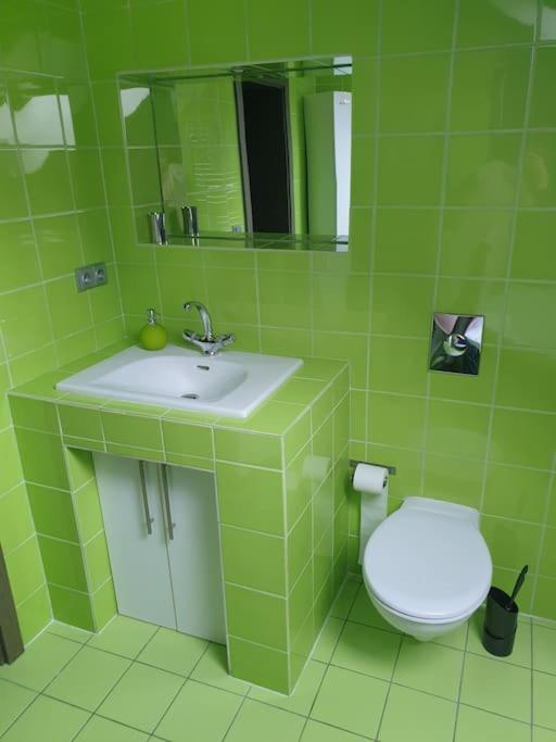 Apartman Radcice 70M2 V Rodinne Vile Liberec Exterior photo